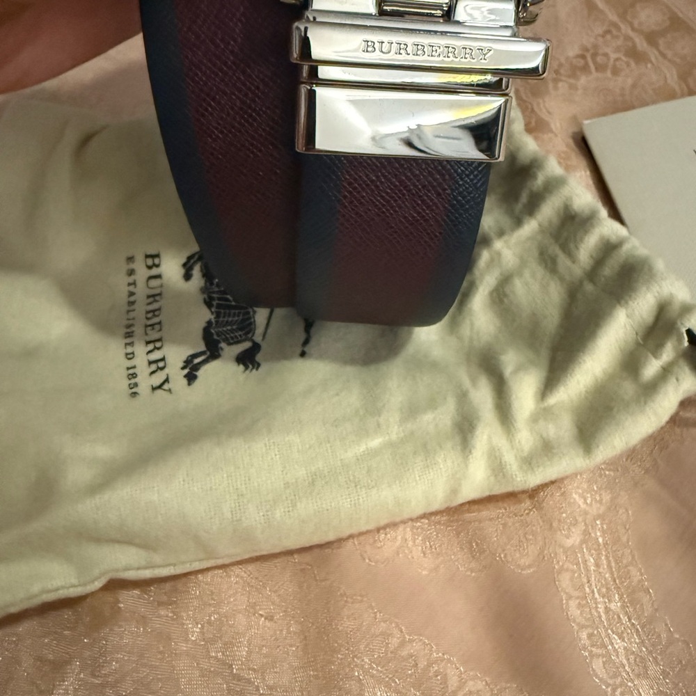 Burberry Blue and Brown Leather Shoulder Bag with Silver Hardware - Picture 11 of 13